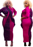Damen Frühling Rose Elegant V-Ausschnitt Volle Ärmel Leopard Print Patchwork Gerade Plus Size Langes Kleid