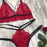 Women Burgunry Romantic Lace Sexy Bra Set