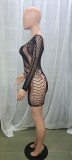 Erotic Lingerie Black Hollow Out Long Sleeve Midnight Dress