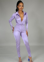 Women Spring Purple Formal Turn-down Collar Full Sleeves High Waist Solid Two Piece Pants Set