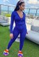 Women Spring Blue Sports Hooded Full Sleeves Solid Pockets Regular Two Piece Pants Set
