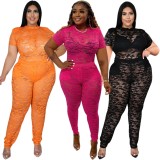 Women Summer Black Sexy Turtleneck Short Sleeves High Waist Solid Lace Hollow Out Skinny Plus Size Two Piece Pants Set