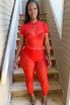 Women Summer Orange Sexy Turtleneck Short Sleeves High Waist Solid Mesh Skinny Two Piece Pants Set