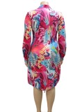 Women Autumn Printed Casual Turn-down Collar Full Sleeves Print Knee-Length Loose Plus Size Casual Dress