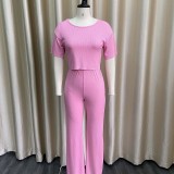 Summer Plus Size Casual Pink Solid Round Neck Short Sleeve And Pant Wholesale Two Piece Clothing
