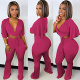 Women's Spring/Summer Solid Color Velvet Casual Two Piece Set