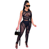 Women's Sexy Mesh See-Through Strap Solid Color Sleeveless Two Piece Set
