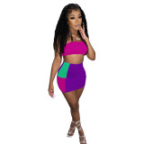 Women's Patchwork sexy Chic Career multicolor 2-piece set for women