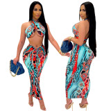 Women's Sexy Skirt Printed Two Piece Set