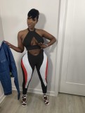 Frauen Sexy Neckholder Backless Print Crop Top und Hose zweiteiliges Set