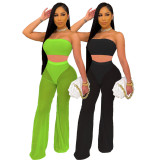 Women Solid Color See Through Sexy Tube Top And Pant Outfit Two-Piece Set