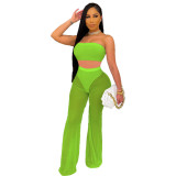 Women Solid Color See Through Sexy Tube Top And Pant Outfit Two-Piece Set