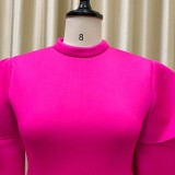 Women Summer Rose Modest Turtleneck Half Sleeves Solid Cascading Ruffle Maxi Skater Dress