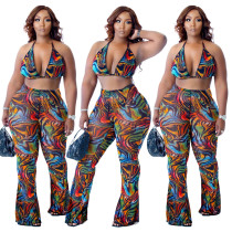 Conjunto de dos piezas de pantalones de playa de bikini con estampado de verano para mujer de talla grande