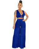 Women Summer Sexy Bundling Pleated Crop Top And Wide Leg Pants Two Piece