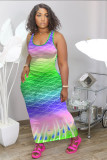 Women'sPrint Sleeveless Dress