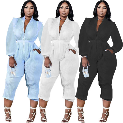 Women Solid Pleated V-Neck Long Sleeve Jumpsuit
