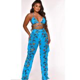 Sexy women's digital printing swimsuit mesh two-piece set (including underwear)