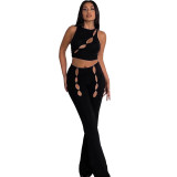 Autumn two-piece cropped sleeveless hollow solid color fashion vest trousers women's clothing
