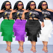 Plus size women's summer print short-sleeved t-shirt women's fringed skirt fashion skirt two-piece set