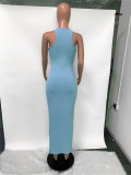 Women's Spring/Summer Sleeveless Deep V-Neck Slim Sexy Long Dress