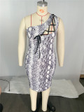 Plus Size Women's Leopard Print Cutout Lace-Up Slim Dress