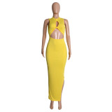Women's Spring/Summer Tank Top Cutout Ribbed Bodycon Sexy Dress