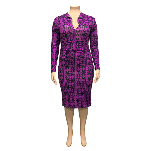 Wholesale Plus Size Women Print Zipper Front And Back Two-Side Dressed Wear  Bodycon Dress