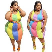 Conjunto de falda de dos piezas de talla grande sin mangas con estampado multicolor de tendencia elegante para mujer de talla grande