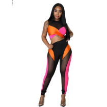 Multi-Color Tight Fitting Breathable Women's Yoga Two Piece Pants Set