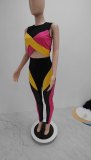 Multi-Color Tight Fitting Breathable Women's Yoga Two Piece Pants Set
