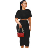 Women's Pleated Casual Style Solid Short Sleeve Two Piece Skirt Set