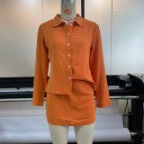 Conjunto informal de primavera/verano para mujer, de Color sólido, de manga larga, con cuello tipo Polo, cuello vuelto, falda ceñida de un solo pecho