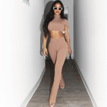 Frauen Kleidung Sommer Casual Solid Crop Crop Top Schlank Hosen Zweiteiler