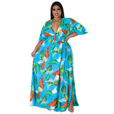 Plus Size Women's Summer Deep V-Neck Print Multicolor Dress