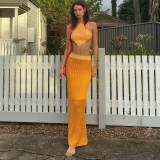 Abdominal Halter Neck Knitting Strap Beach Top Crop Low Back Lace-Up Vest + Half-length Skirt Women