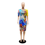 Women's Round Neck Print Fashion Giraffe Short Sleeve Dress