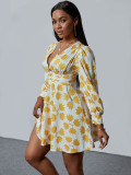 Plus Size Women'S Summer Fashion Printed V-Neck Long Sleeve A-Line Dress