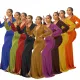 Women Casual Long Sleeve Solid V-Neck - Long Dress