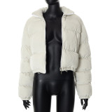 女性の秋と冬のファッションスタンドカラーパッド入りコート厚く暖かいジャケット