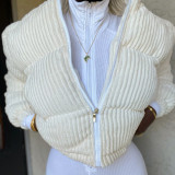 女性の秋と冬のファッションスタンドカラーパッド入りコート厚く暖かいジャケット