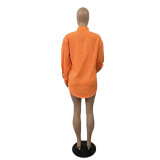 Camisa ancha informal de manga larga con cuello de polo de color liso para otoño/invierno