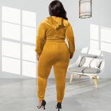 Plus Size Women Fall Stretch Velvet Zipper Long Sleeve Top+ Trousers Two-piece Set
