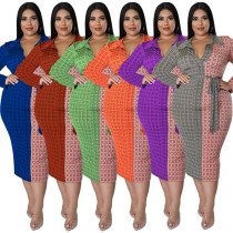 Büyük Beden Kadın Güz Günlük Uzun Kollu Yaka Renkli Blok Elbise