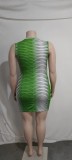 Geometric Print Sleeveless Bodycon Plus Size Dress