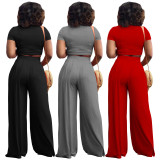 Spring and summer women's loose solid color short-sleeved wide-leg pants suit two-piece