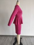 Women's Fall/Winter Long Sleeve Work V Neck Back Zipper Bodycon Dress
