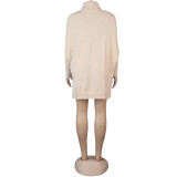 Women's Long Sleeve Rabbit Velvet Turtleneck Slim Long Sweater