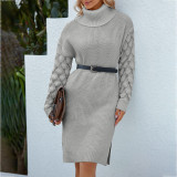 Autumn/Winter Turtleneck Long Sleeve Knitting Dress Women  Solid Split Sweater Dress