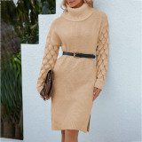 Autumn/Winter Turtleneck Long Sleeve Knitting Dress Women  Solid Split Sweater Dress